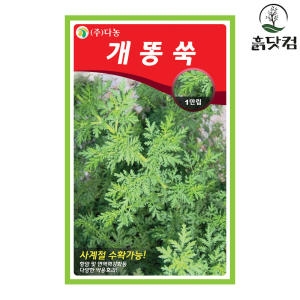 개똥쑥 씨앗 1만립