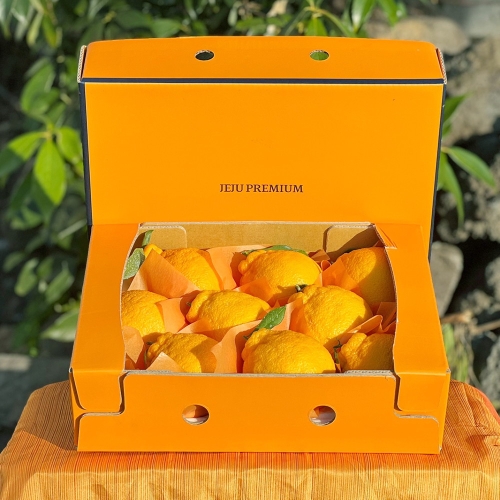 친환경팔도 명품제주 프리미엄 한라봉 선물세트 2.5kg 대과이미지입니다. 누르면 해당 게시물로 새창이동합니다.