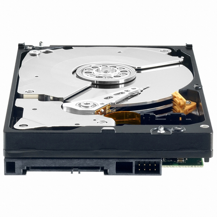 Western Digital WD 1TB RE4 WD1003FBYX (SATA2/7200/64M)_이미지