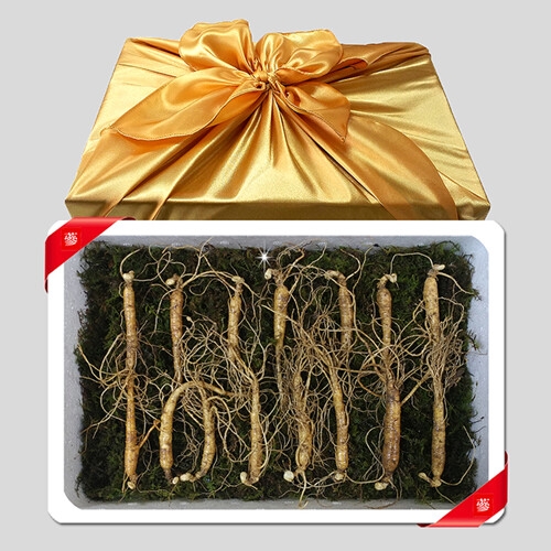 한반도산삼마을영농조합 산삼/산양삼 국내산 산양산삼 5년근 15뿌리 선물세트