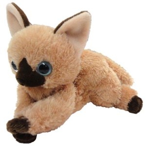 누리토이즈 함께라서 좋아 빈돌 갈색고양이 (22cm)_이미지
