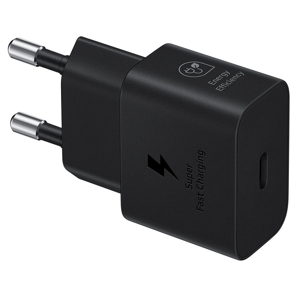 삼성전자 PD PPS 25W C타입 충전기 EP-T2510 (케이블미포함, 1개)_이미지