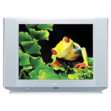 아남전자 띠뮤 CK-29F9DW_이미지