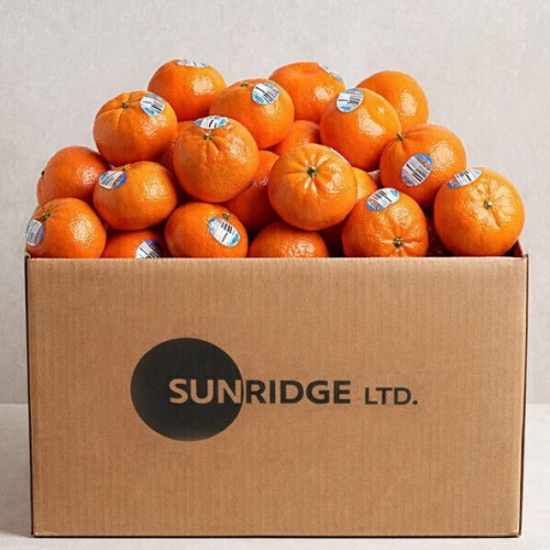 ���絵 ���ٸ� �� 20��-31�� 2kg