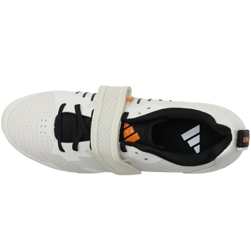 �Ƶ�ٽ� �Ƶ��Ŀ� ����Ʈ������ 3 JP6205
