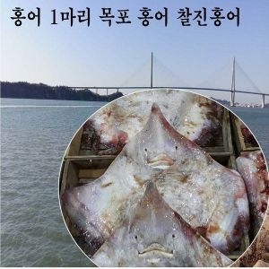 [불명] 홍어무침용 홍어 목포홍어_이미지