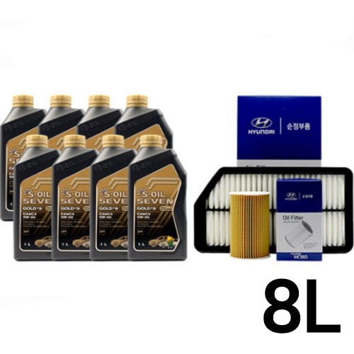 �������� ������ 5W30 + �������� ����IX ����