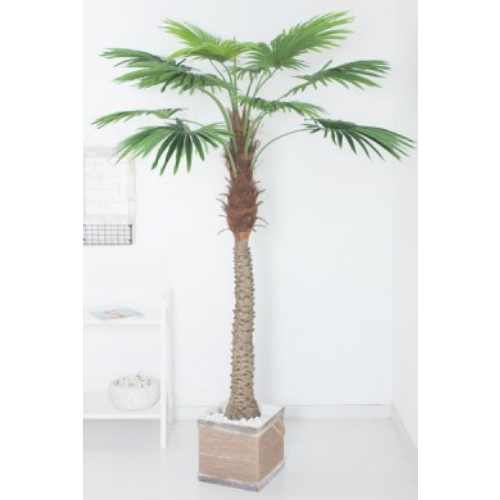 플라워트리 펜팜트리화분set 210cm KO 5-5   조화 FREOFT이미지입니다. 누르면 해당 게시물로 새창이동합니다.