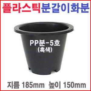PP분5호 흑색 /소형/모종/야생다육/고무/플라스틱화분