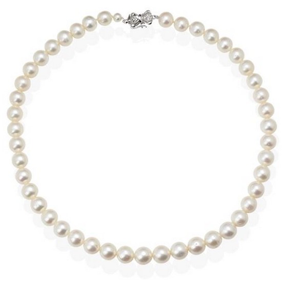 ȥ����� ����� ��ũXL ��� ���ָ���� S2PN020WJ