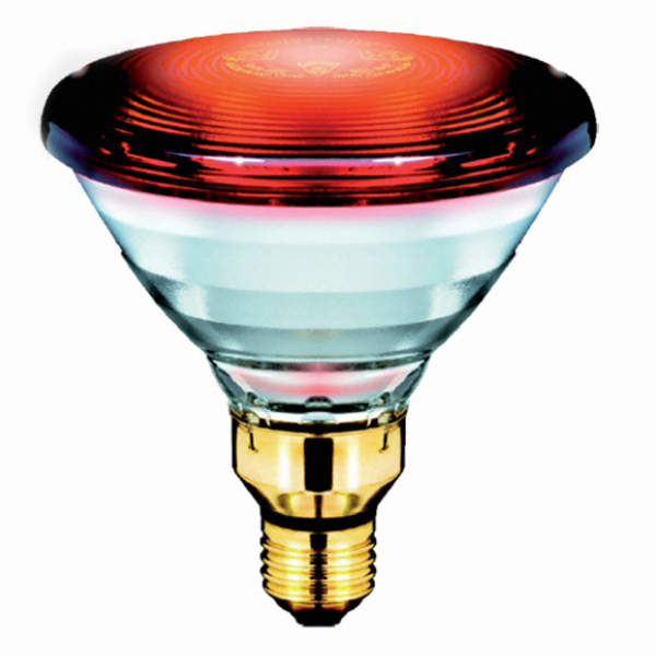 �ʸ��� ��PAR38 ���ܼ����� 150W