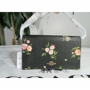 코치 헤이든 클러치백_73018