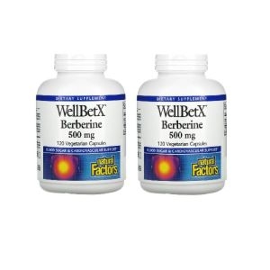 WellBetX 베르베린 500mg 120캡슐