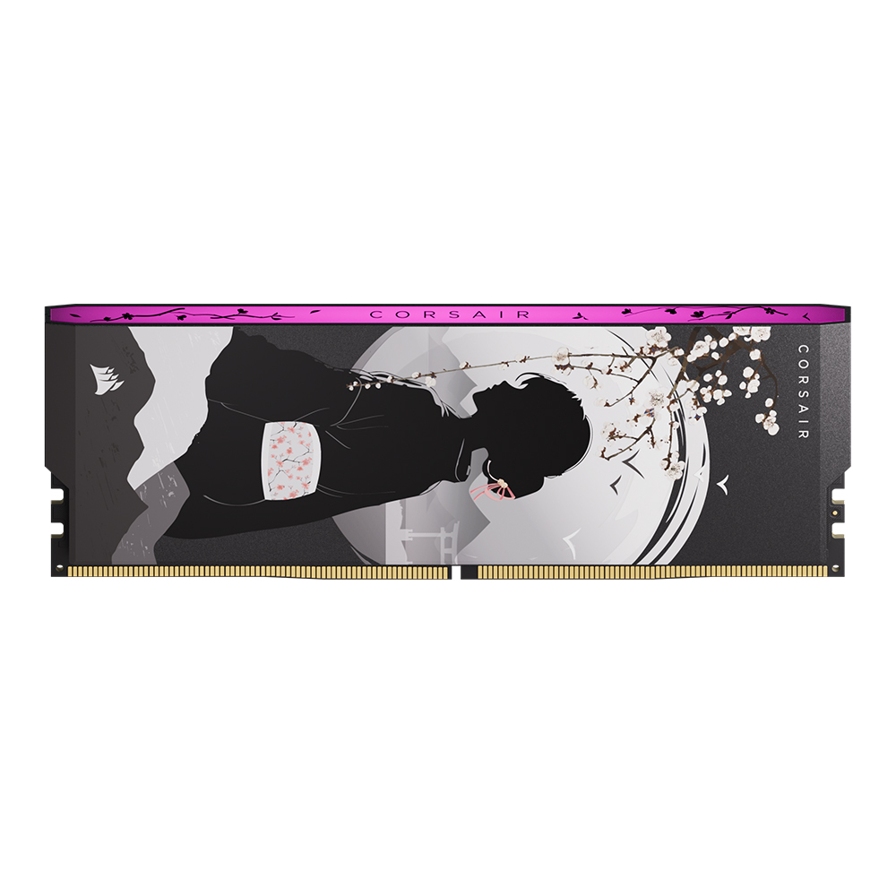 CORSAIR DDR5-6000 CL28 SHUGO 패키지 (32GB(16Gx2))_이미지