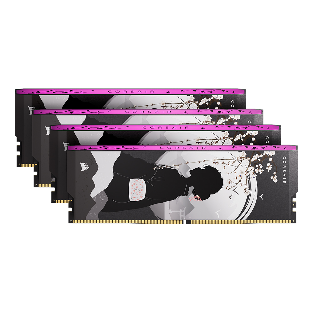 CORSAIR DDR5-6000 CL28 SHUGO 패키지 (32GB(16Gx2))_이미지