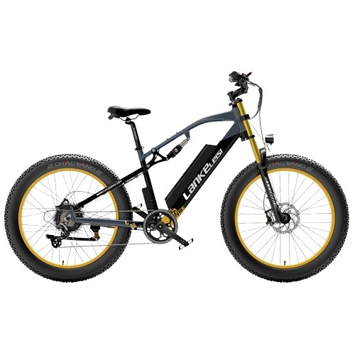 랑케레이시 RV700 DUAL 해외구매 (48V, 17Ah)