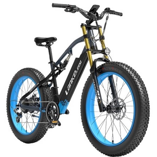 랑케레이시 RV700 DUAL 해외구매 (48V, 17Ah)_이미지