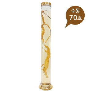 ��õ�ڿ����� ����ֺ� ���� 70ȣ