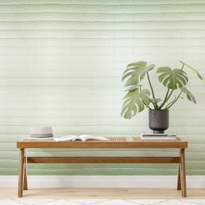 ����Ȩ���� �ܿ� �� ���� 3D �긯