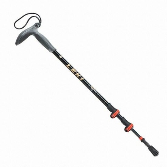 ��Ű SL �������е� 2081