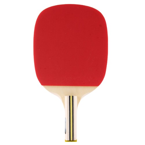 도닉 ASIAN CHAMPIONS 500_이미지