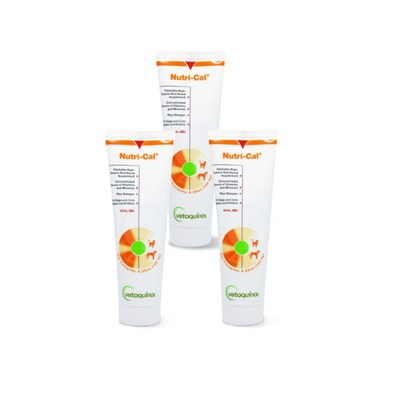 베토퀴놀 뉴트리칼 120.5g (3개)_이미지