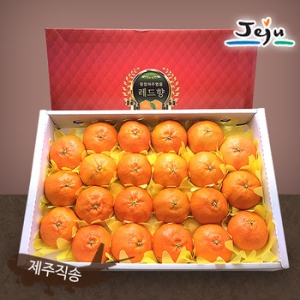 올찬농산농업회사법인 레드향 선물세트 왕특대/특대 13~23과 5kg (1개)_이미지