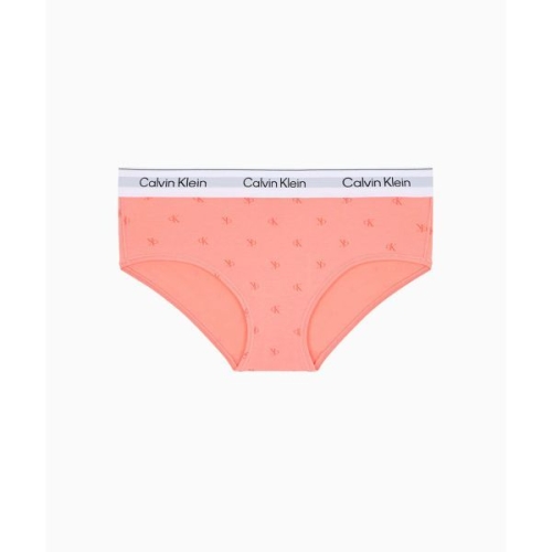 CALVIN KLEIN UNDERWEAR 여성 아이콘 코튼 모달 AF 힙스터_QF8526AD2XZ