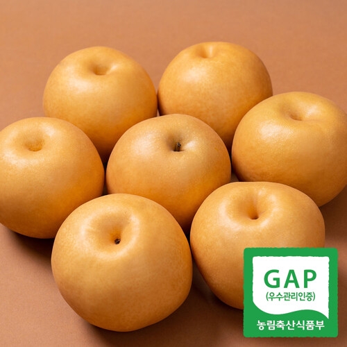 나주 산지직송 나주배 특품 가정용 8-9과(개) 5kg