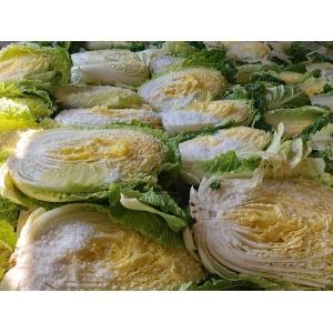 오늘애김치 해남 절임배추 20kg