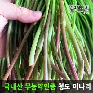새벽키친 청주 향긋한 미나리1kG (1개)_이미지