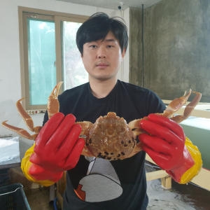 [불명] 고급 자숙홍게 5~7마리 2kg (1개)_이미지