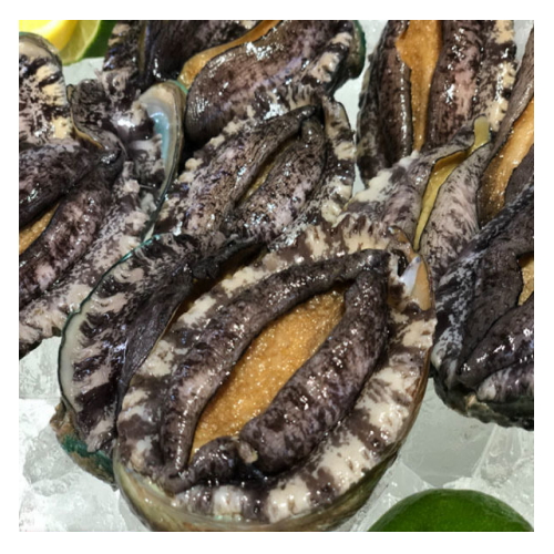 해신수산 완도활전복 특대 9~10개(마리) 1kg (1개)