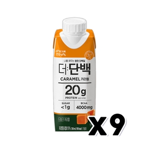 빙그레 더단백 드링크 카라멜 250ml (9개)_이미지