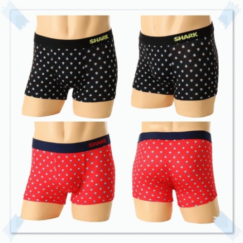 �ֺ� ���� 50���Ͼ� ��� ���� ���� �簢 ����� SMP6136TT 11