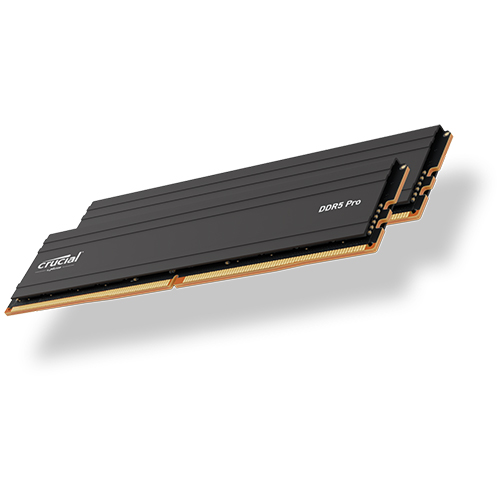 마이크론 Crucial DDR5-6000 CL48 PRO 패키지 아스크텍 (48GB(24Gx2))_이미지