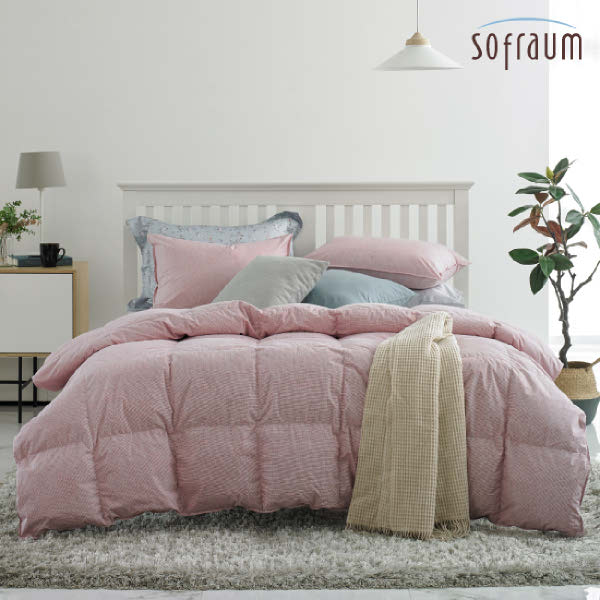 ������� ������ ���� �ٿ� ���� �̺Һ��� ��Ʈ Q