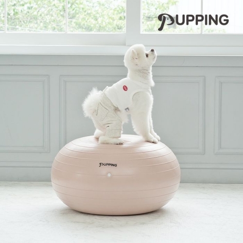 퍼핑 강아지 짐볼 슬개골탈구예방 운동기구_이미지