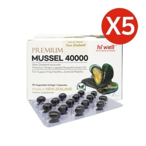 ������ �����̾� �ʷ���ȫ�տ��� 40000 90ĸ��