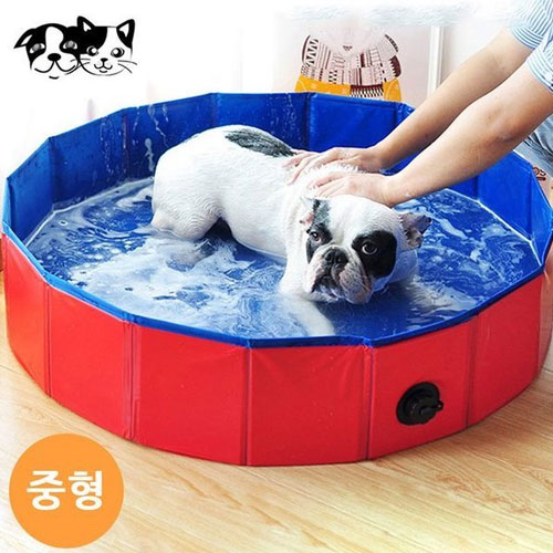 ���丮 ������ ���̽� ��������� ����