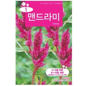 맨드라미씨앗 1000립