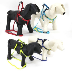 [불명] NUMBELL 애견 목걸이(대)_이미지