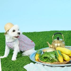 BYC 본사 개리야스 할매꽃나시 ODR0003_이미지