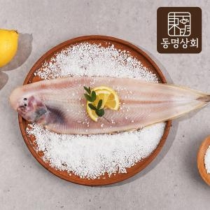동명상회 반건조 군산 박대 특왕대 4마리_이미지