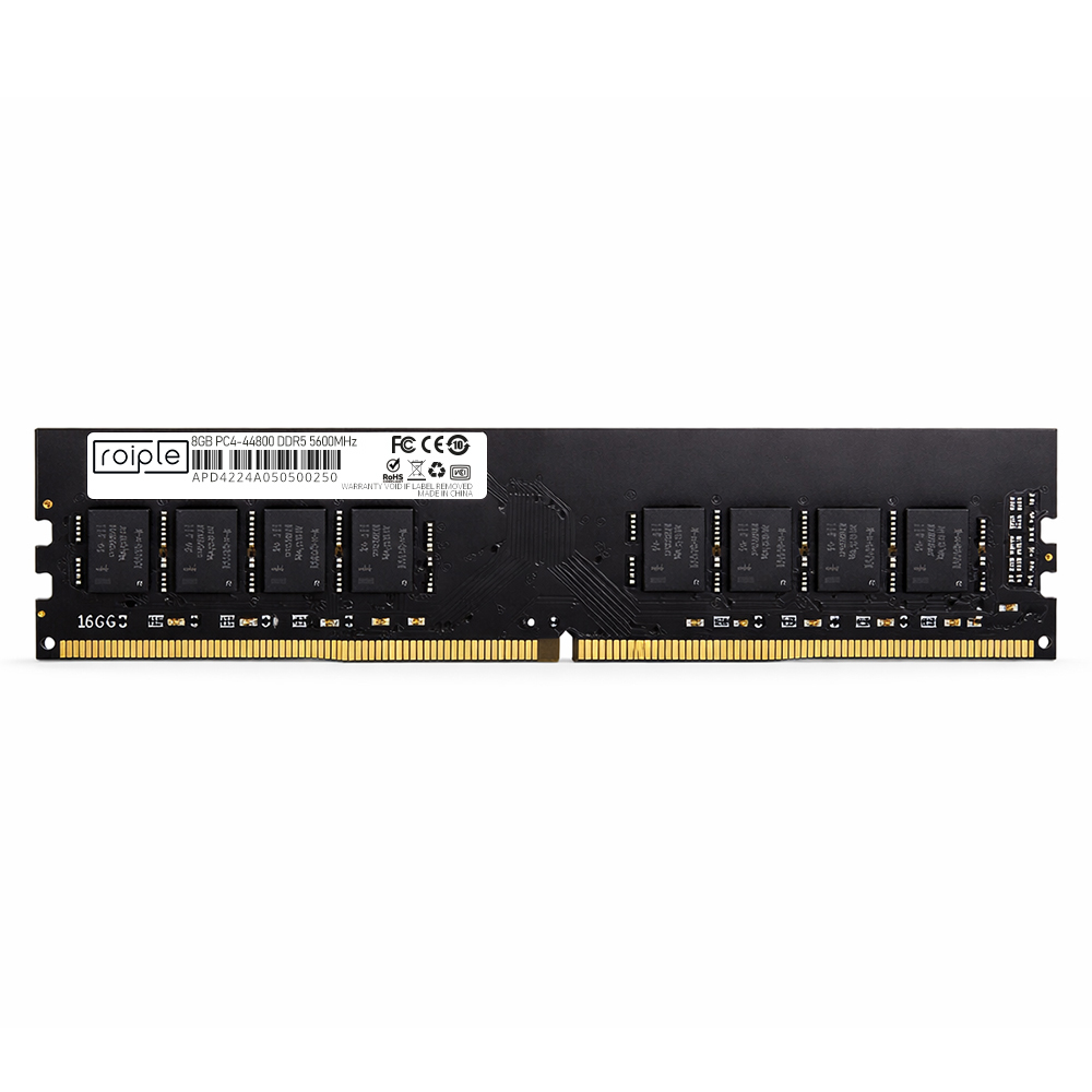 디오테라 ROIPLE DDR5-5600
