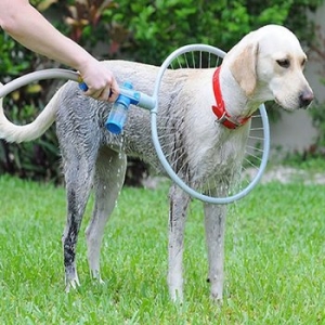 닐라본 우프 360도 애견 샤워기 소/애견샤워기/애견목욕용품이미지입니다. 누르면 해당 게시물로 새창이동합니다.