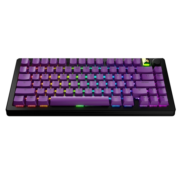 글로리어스 GPBT Basics 키캡 세트 (Epic Purple)_이미지