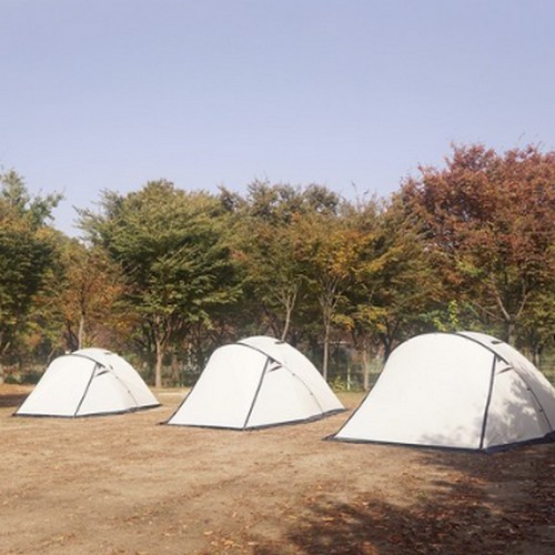 에르젠 엘돔 S5 260