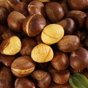 맛좋은 생율밤 1kg 칼집 생으로먹는 맛밤 햇밤