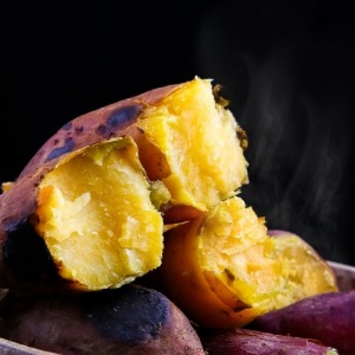 정푸드 꿀밤고구마 중 10kg